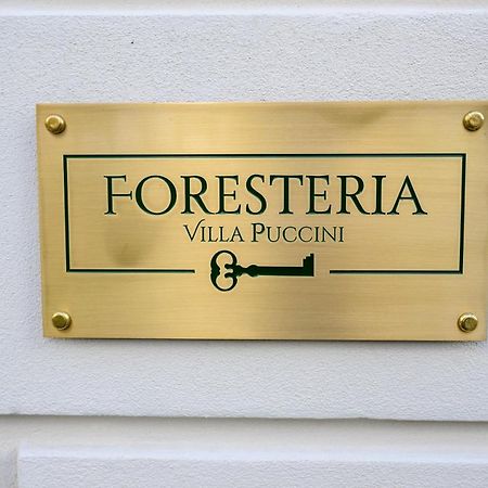 توري ديل لاغو بوتشيني Foresteria Villa Puccini Casa Per Ferie المظهر الخارجي الصورة